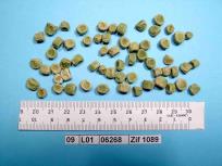 Click for 4 image(s) for this accession. Image